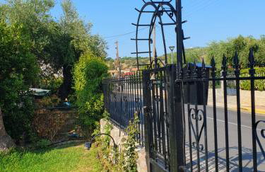 Blue Diamond - Foto 30