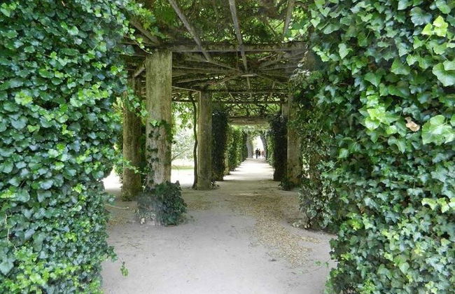 Obidos Nazare Caldas da Rainha Full Day Private Tour from Lisbon - Photo 23