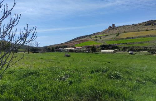 Finca y Casa Rural Los Huertos - Foto 14