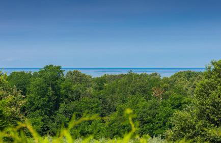 Beautiful Villa Casa Nova with pool in Brtonigla - Foto 36