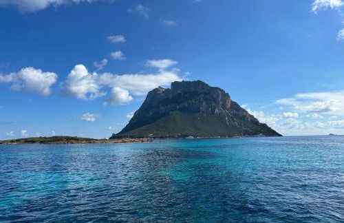 Spacious & Luxurious - Fully Renovated & Equipped 2BR Suite - Historical Centre - Photo 40