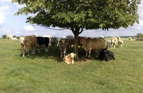 The Groom's Cottage - Foto 23