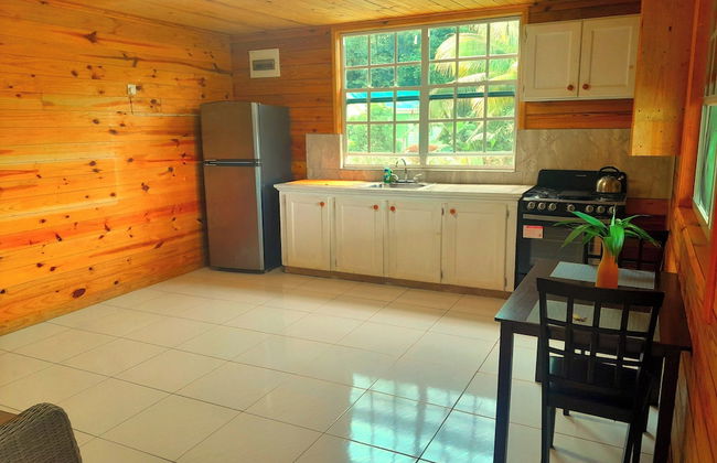 Pinard's Mountain Resort- Cottage 8 - Foto 37