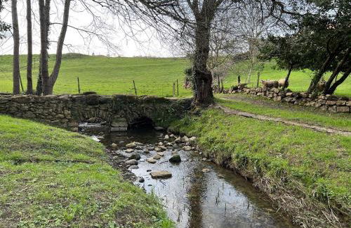 Luxury Río - Foto 27