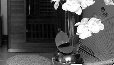 Gîte l'étable détente SALLE SPA EN SUPPLEMENT - Photo 2