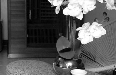 Gîte l'étable détente SALLE SPA EN SUPPLEMENT - Photo 2