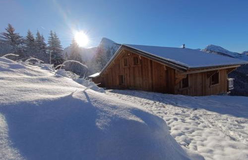 Chalet avec jacuzzi - 150 m des remontées - Foto 37