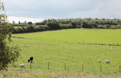 Strelley Court Farm - Foto 30