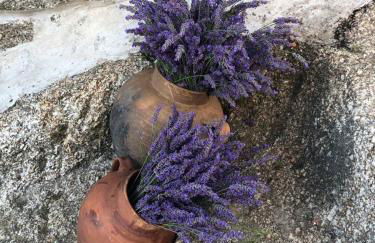 O Cantinho da Ana - Foto 80