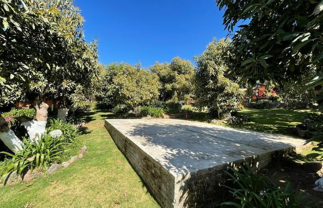 Cabañas La Huerta - Foto 19