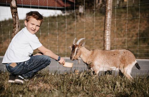 Wunderwelt Betzenstein familiär-ländlich-modern - Foto 38