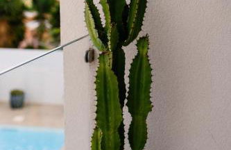 Portugal Alma Villa Algarve - Luxury Villa with Private Pool - Foto 75