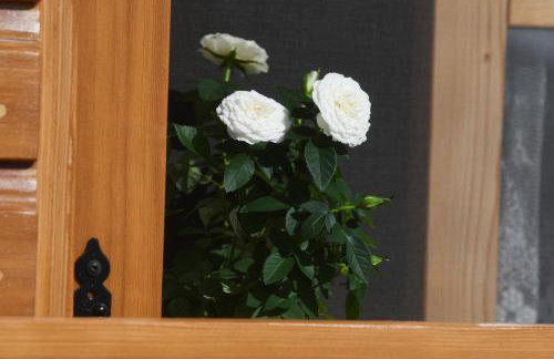 Beach House Marina Grande - Photo 19