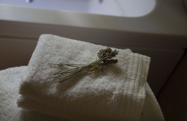 Molinos de Fuenteheridos - Photo 9