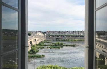 Blois, vue panoramique Loire - Photo 1
