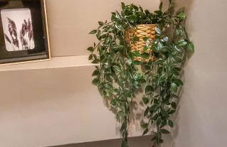 LE SAINT-LAURENT Cocoon Design Coeur de Ville - Foto 6