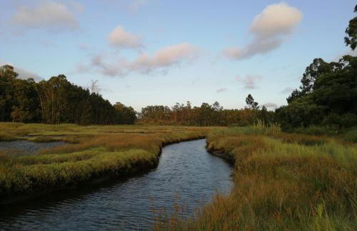 Casa da Balseira - Foto 8