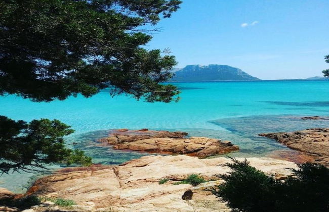 Apartment in Sos Alinos Near Sardinian Beaches - Photo 37