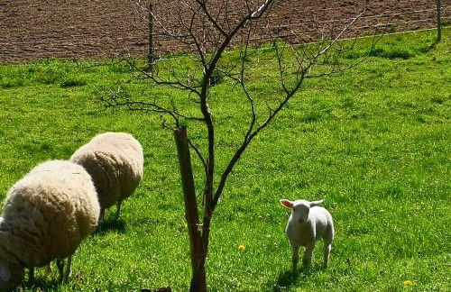 Pumphuts Scheune Ferienwohnungen Nr 1 - 4 beim Freizeitpark Plohn - Foto 56