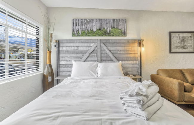 1BD Suite Trails & Garden of the Gods Dogs Welcome! - Photo 3