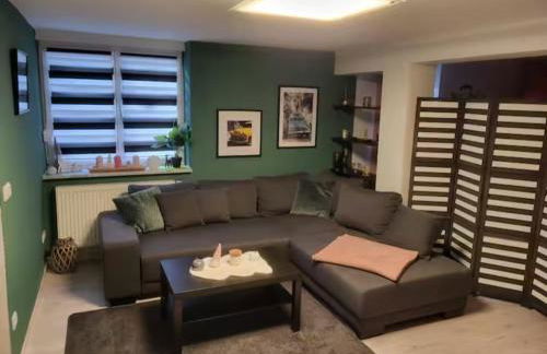 Schöne Ferienwohnung nähe Geiseltalsee - Foto 1