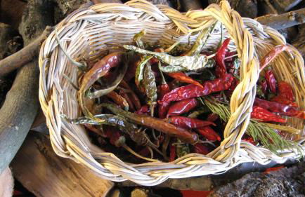 Podere il Poggiolo - Foto 105