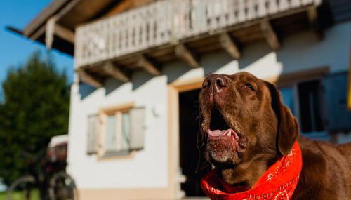 Ferienhaus im Landhausstil im Vital Camp Bayerbach - Foto 2