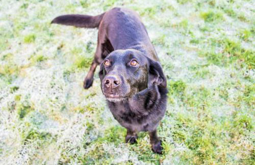 The Orchards - Foto 20