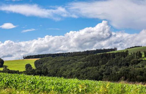 Kaisermantel - Foto 36