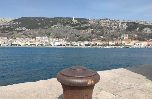 Margarita - Photo 67