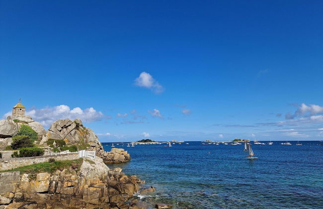 Breton Holiday Home With Fantastic sea View - Foto 20