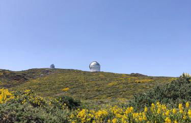 Mar de Lava - Foto 43