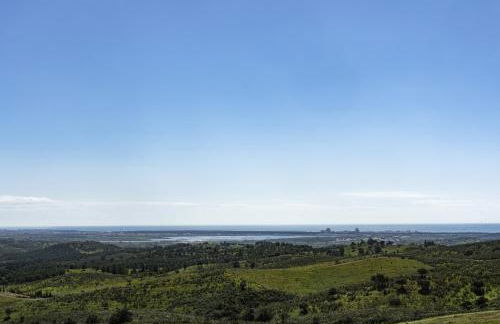 La Glycine - Foto 78