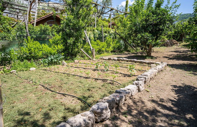 Villa Alice in Sorrento - Foto 34