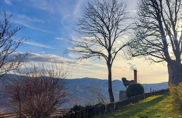 Rosa d' Inverno - Foto 47