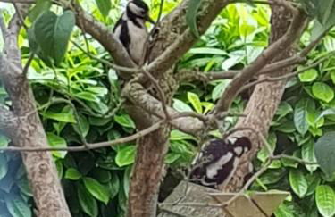 Ferienwohnung beim Bracksee - Photo 22