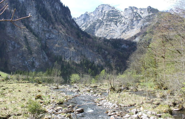 Holiday Apartment Crokus Siegsdorf - Foto 24