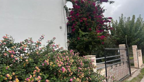 KONTOGIANNIS lihas club 2 - Foto 4