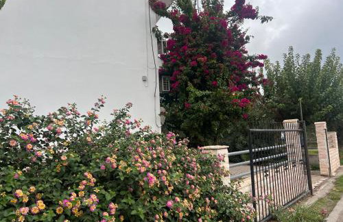 KONTOGIANNIS lihas club 2 - Photo 4