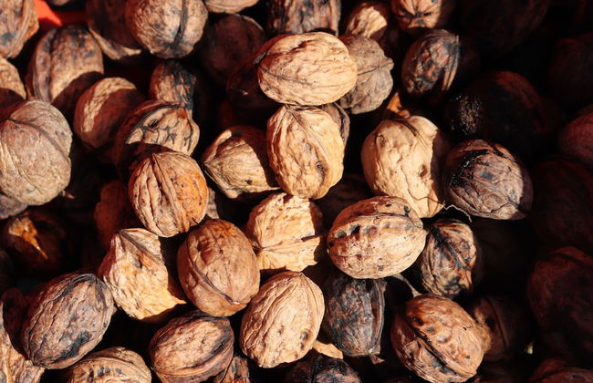 Agriturismo La casella - Foto 18