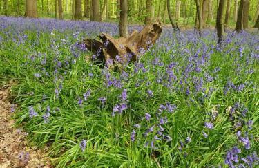 The Barn - Quiet Location - Foto 24