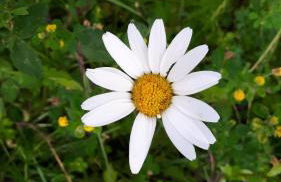 Ferienwohnung Lennefer - Foto 9