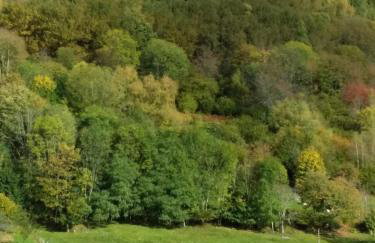 MAISON LUPINS 6 personnes - Foto 11