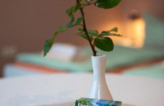 Top-moderne Ferienwohnung und Apartments auf früherem wunderschönen Bauernhof im Elbe-Elster-Kreis in Brandenburg bei Herzberg-Elster, Schönewalde, Holzdorf - Foto 41