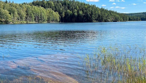 4 Person Holiday Home in Bengtsfors - Foto 4, Verschiedenes