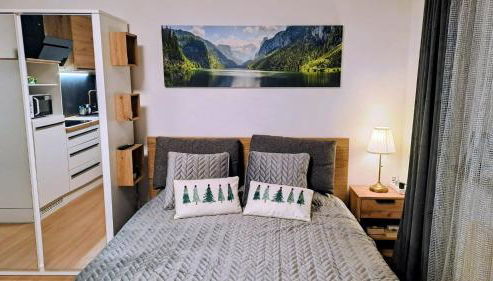 Stella di Sella Nevea - Foto 5