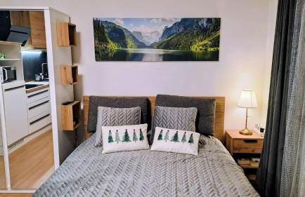 Stella di Sella Nevea - Foto 5