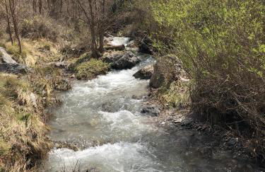 Molino Felix Alojamiento Rurales - Foto 44