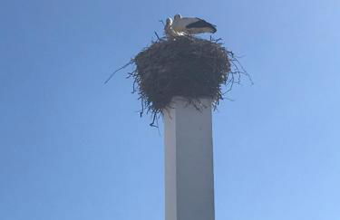 Alcacer River Apartment - Foto 50