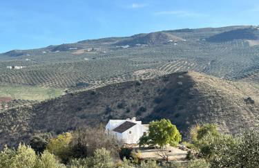 Cortijo La Pedriza - Foto 41